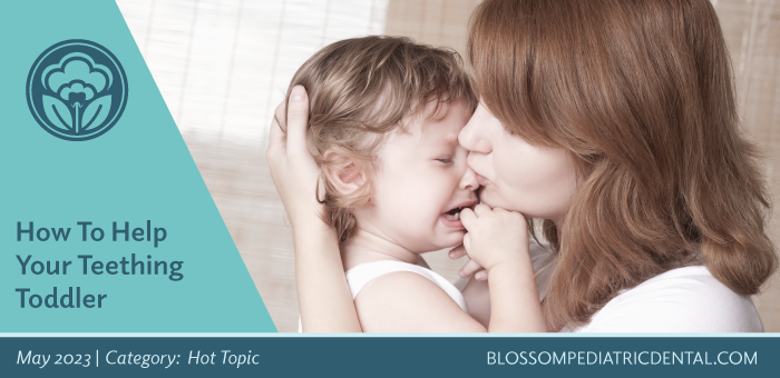 How To Help Your Teething Toddler - Blossom Dental